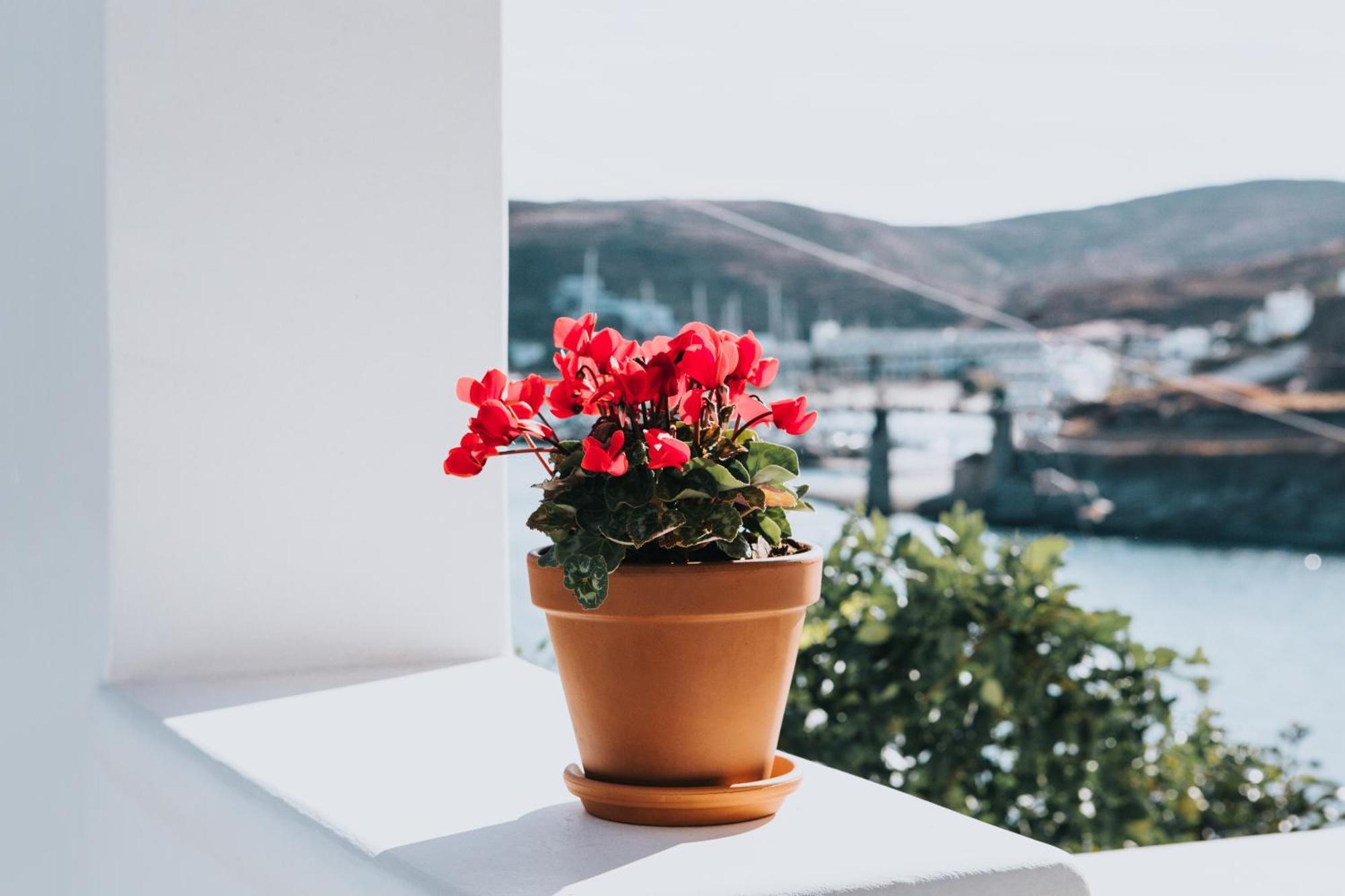 Fos Suites Λουτρά Εξωτερικό φωτογραφία